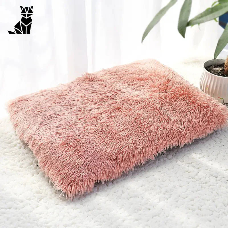 Lit douillet pour chien avec tapis rose - Espace Douillet et Confort Ultime