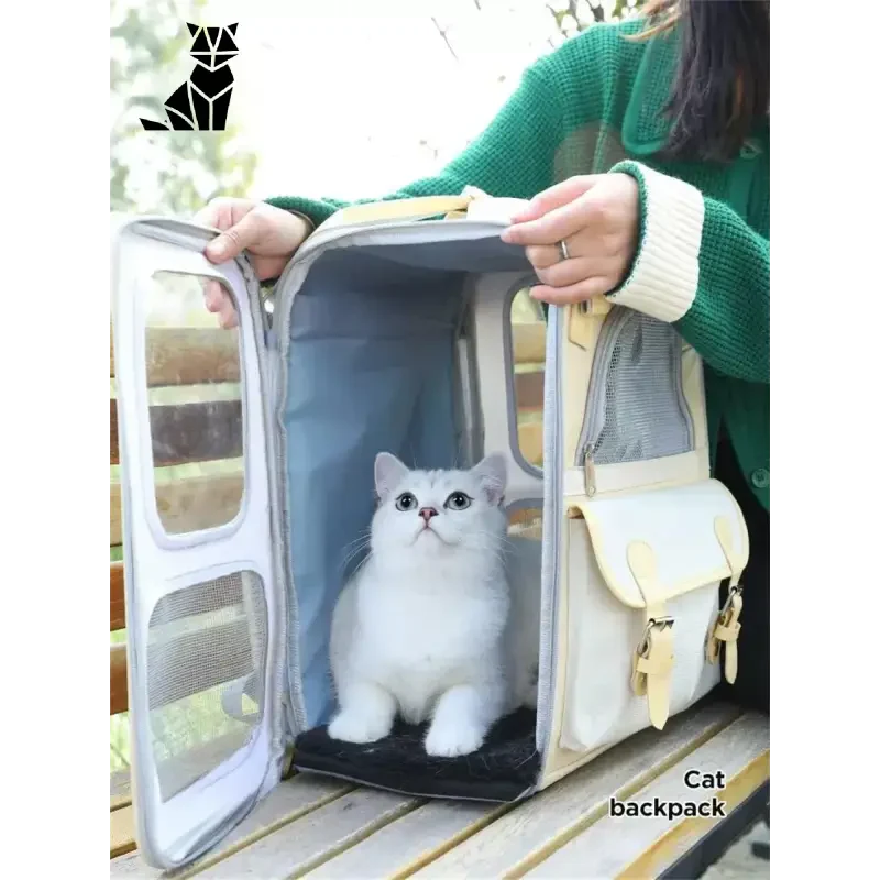 Femme tenant un chat dans un sac de transport : facile à transporter et confortable